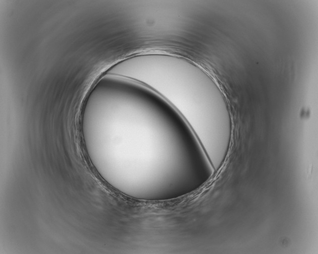 X0000092260289200709141032