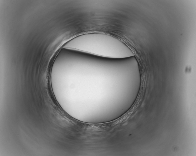 X0000092260290200709141032