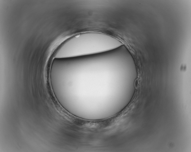 X0000092260294200709141032