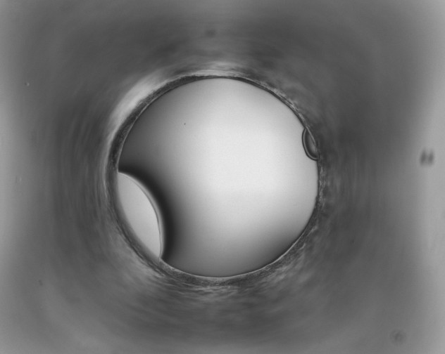 X0000092260296200709141032