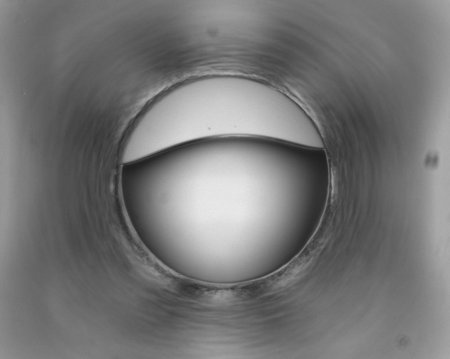 X0000092260301200709141032