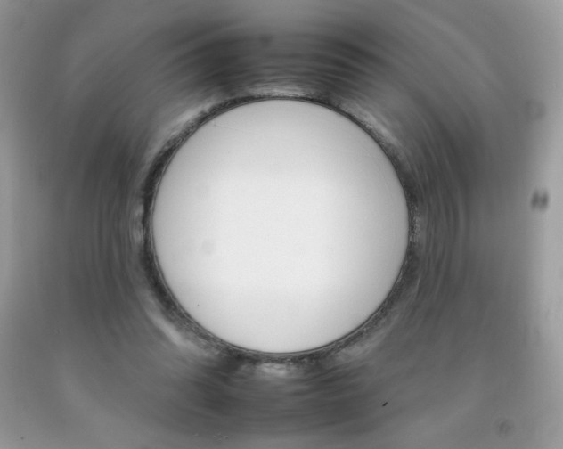 X0000092260302200709141032