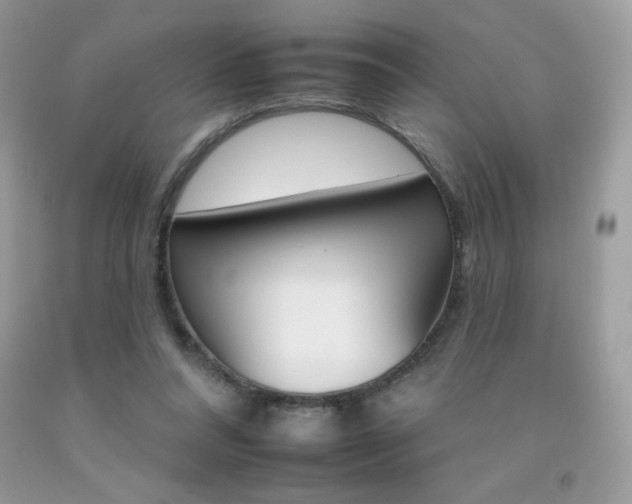 X0000092260304200709141031