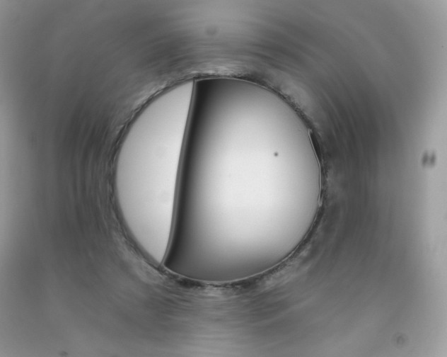 X0000092260305200709141031