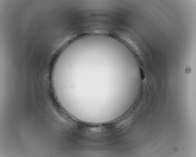 X0000092260306200709141031
