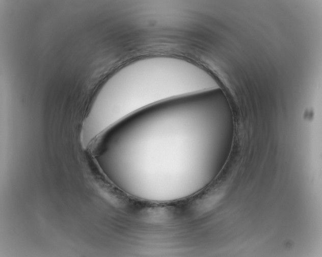 X0000092260307200709141031
