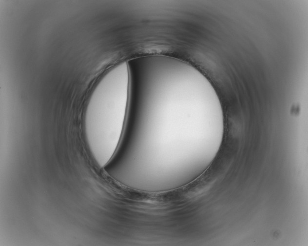 X0000092260308200709141031