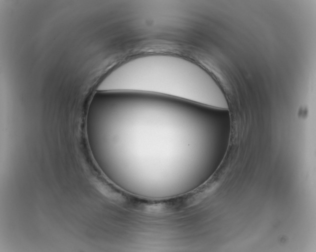 X0000092260309200709141031