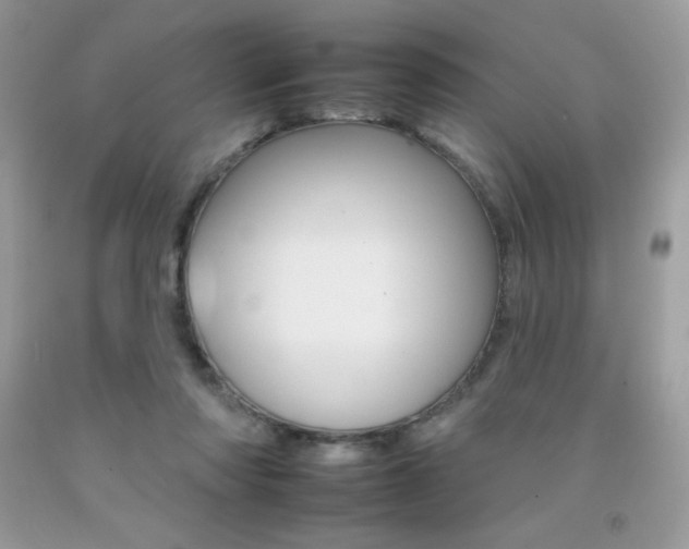 X0000092260310200709141031