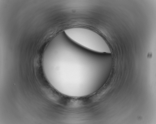 X0000092260311200709141031