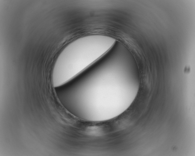 X0000092260312200709141031