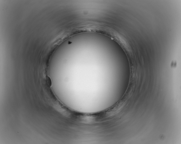 X0000092260313200709141031