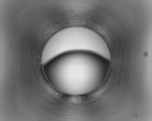 X0000092260317200709141031