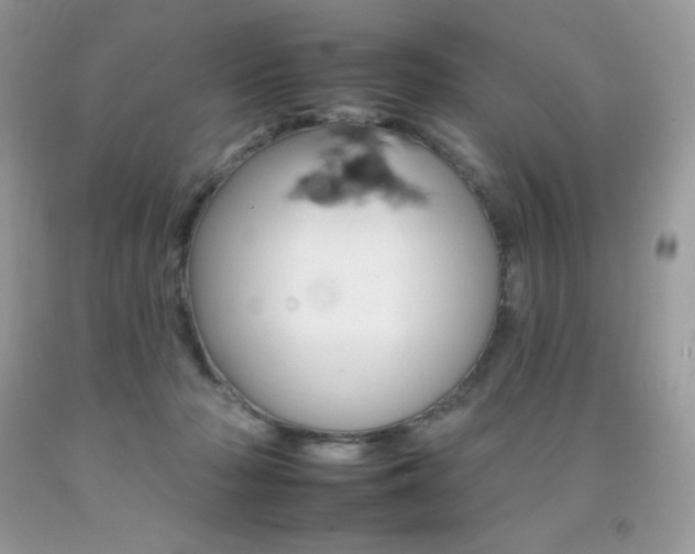 X0000092260318200709141031
