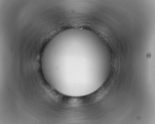 X0000092260319200709141031
