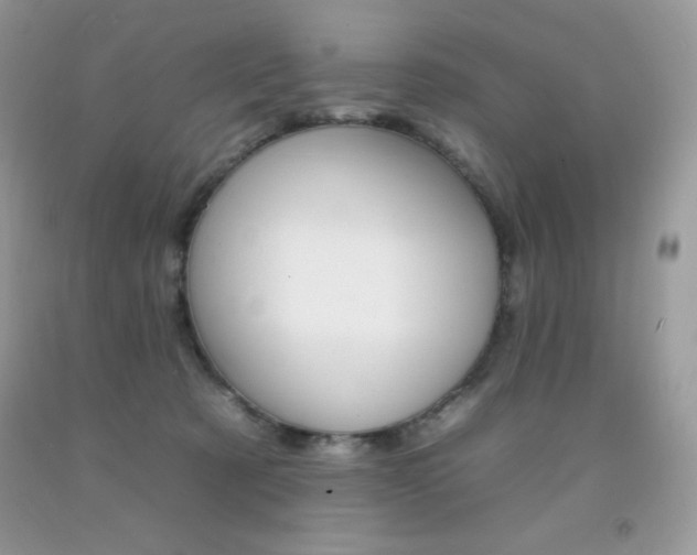 X0000092260321200709141031