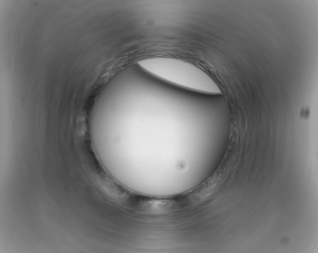 X0000092260323200709141031