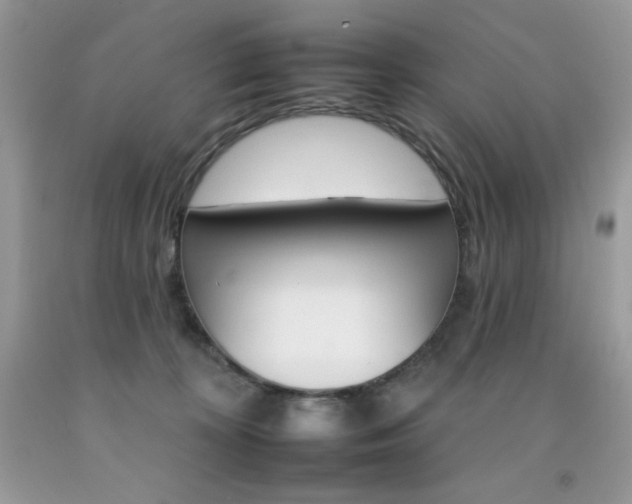 X0000092260324200709141031