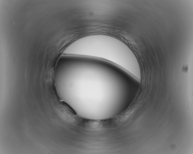 X0000092260325200709141031