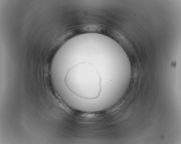 X0000092260326200709141031