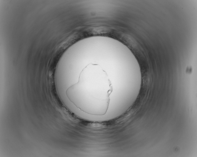 X0000092260327200709141031
