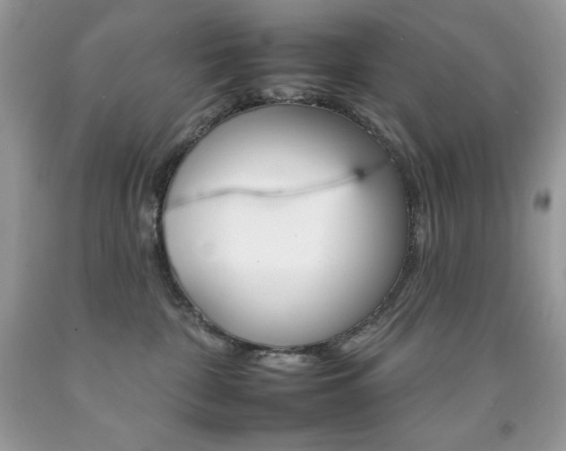 X0000092260332200709141031