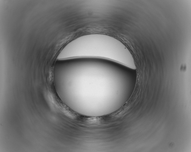 X0000092260335200709141031