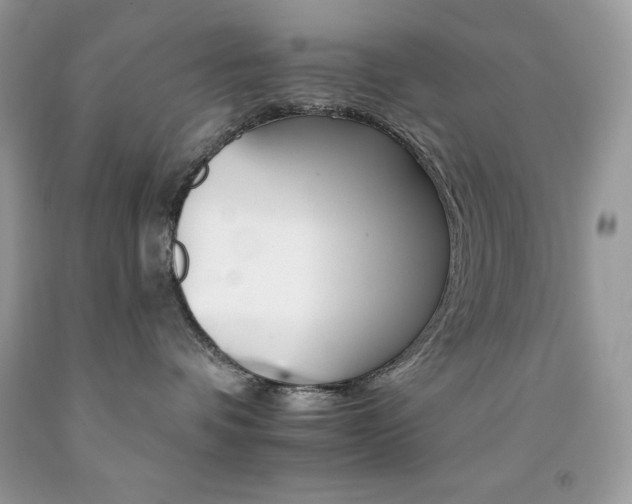 X0000092260336200709141031