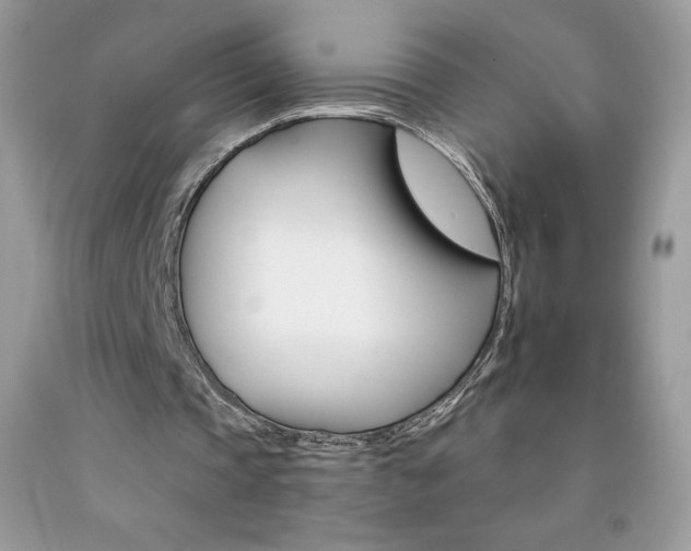 X0000092260337200709141030