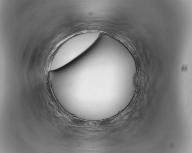 X0000092260338200709141030