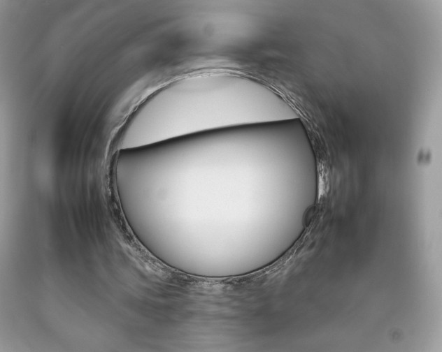 X0000092260339200709141030