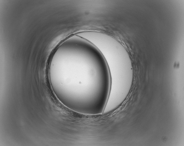 X0000092260340200709141030