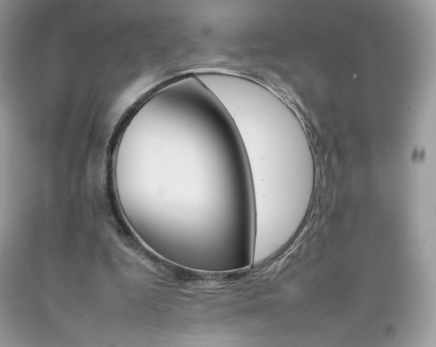 X0000092260344200709141030
