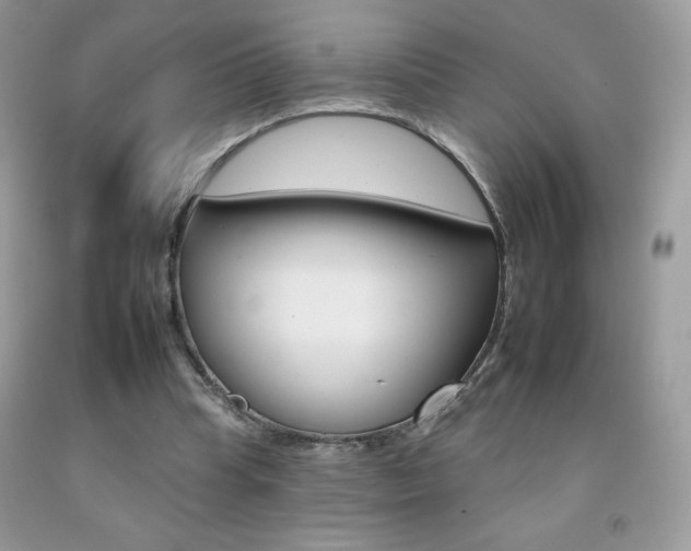 X0000092260345200709141030