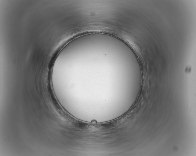X0000092260346200709141030