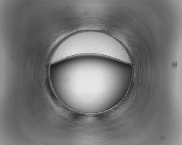 X0000092260348200709141030