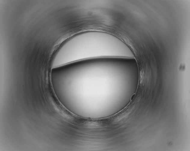 X0000092260349200709141030