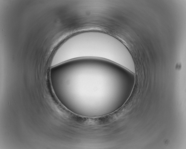 X0000092260350200709141030