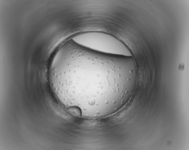 X0000092260351200709141030