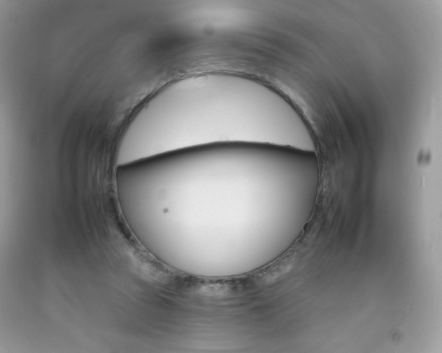 X0000092260353200709141030