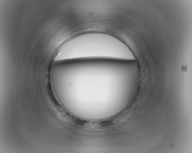 X0000092260354200709141030