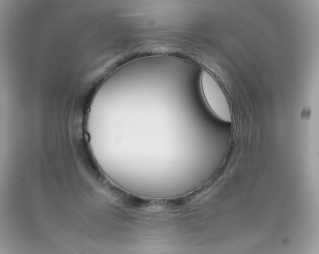 X0000092260358200709141030