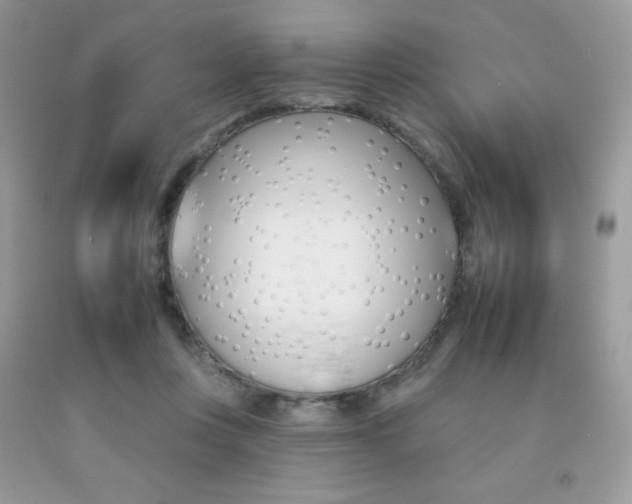 X0000092260359200709141030