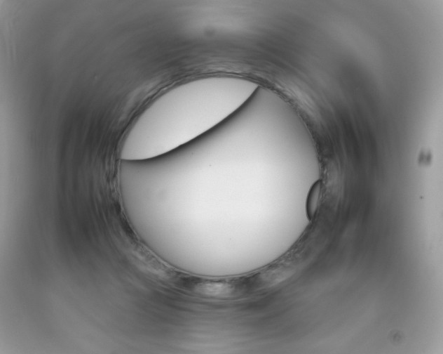 X0000092260361200709141031