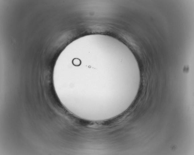 X0000092260362200709141031