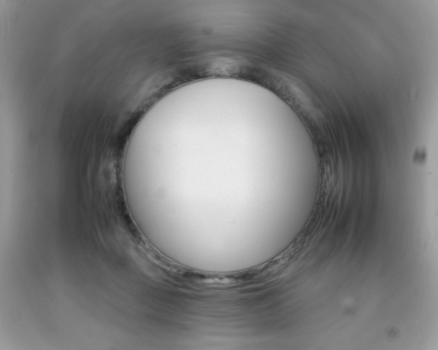 X0000092260363200709141031