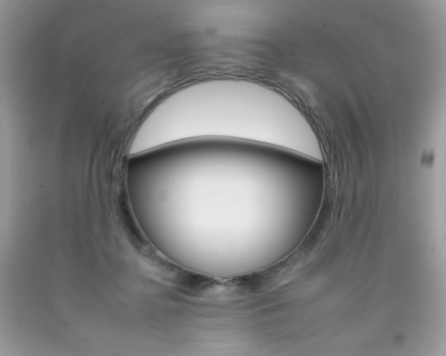 X0000092260364200709141031