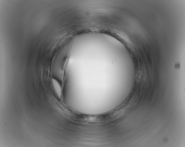X0000092260365200709141031