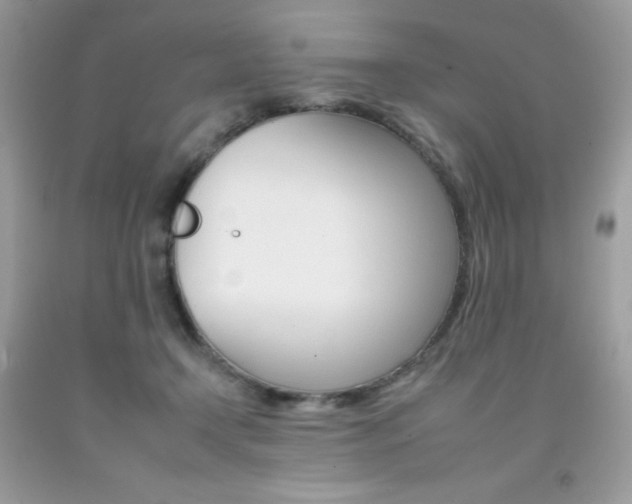 X0000092260366200709141031