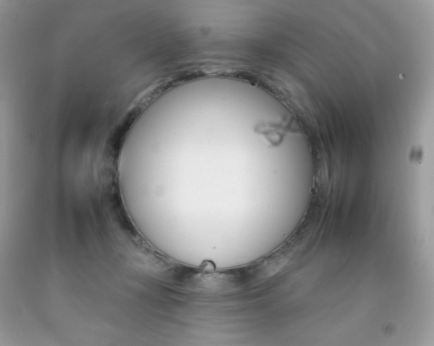 X0000092260367200709141031